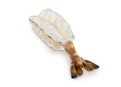 哈哈大笑車海老壽司