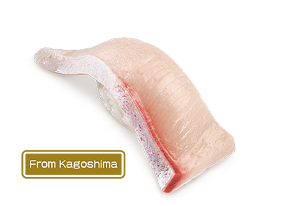 Prime Amberjack Sushi