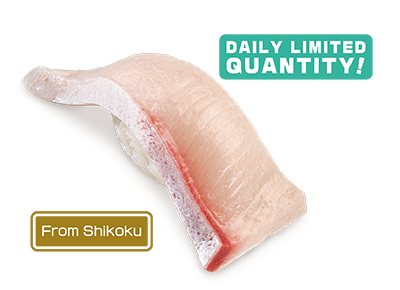 Prime Buri Hira Sushi