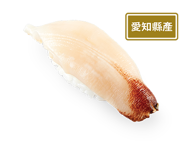 日本象拔蚌壽司