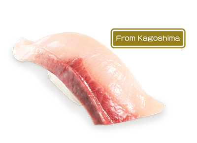 Jumbo Kanoya Kanpachi Sushi