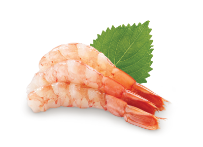 Red Shrimp Sashimi