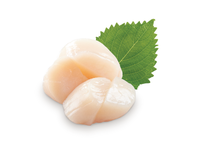 Scallop Sashimi