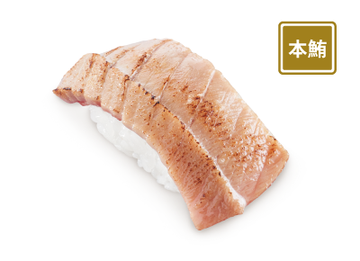 炙燒本鮪中拖羅壽司